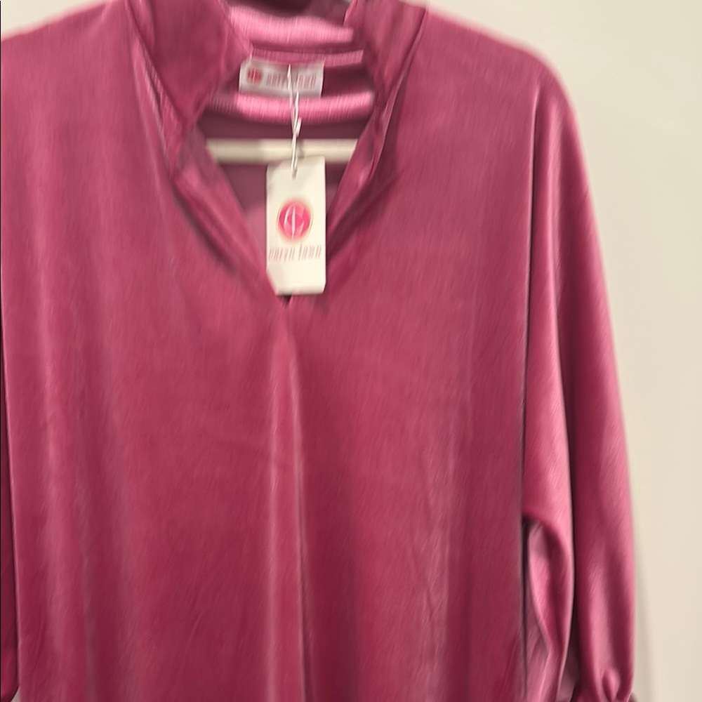 Caryn Lawn NWT Pink Velvet Women's dress- one size fits all